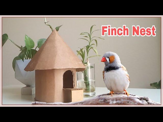 DIY How to make a bird house using cardboard | bird breeding box |cardboard hut making