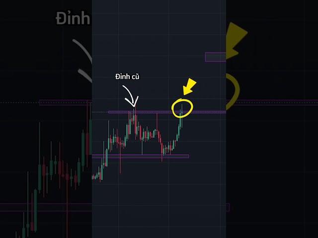 Phương pháp đầu tư cơ bản nhất mà mang lại hiệu quả cao #crypto #trading #dautu #bitcoin