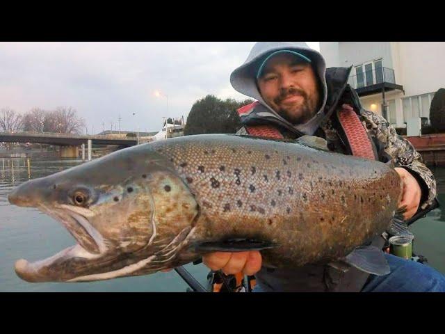  LIVE - More Brown Trout Are In | Lake Michigan Fishing Report 11/9/24