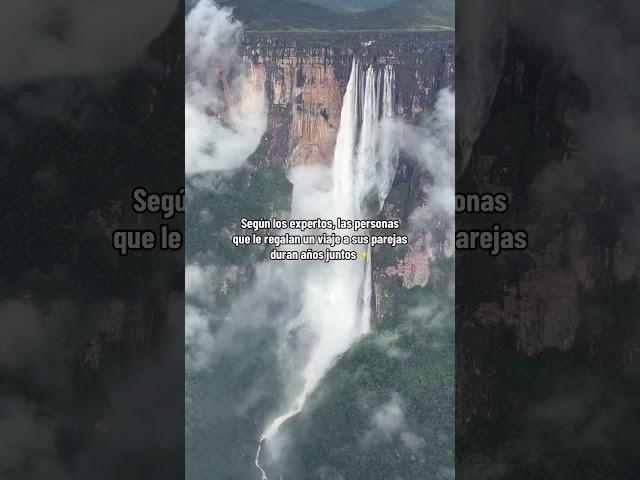 Viajar en pareja lo hace todo más increíble 🫶 #canaima #saltoangel #vacaciones