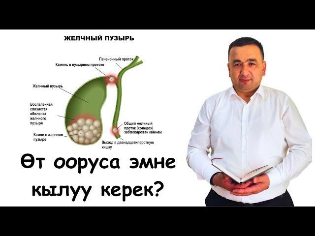 Өт ооруса эмне кылуу керек? Өттүн иштеши тууралуу маалымат Доктор Искендер / Өтү ооругандар үчүн