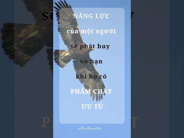 #010 Triết lý giáo dục tận gốc /Châu Nguyễn Hse