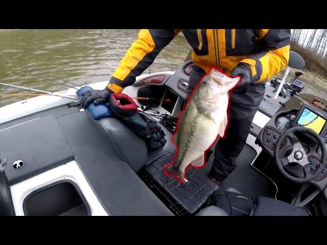 GIANT BASS CAUGHT IN INDIANA (compilation)