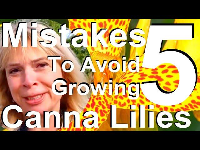 Five mistakes to Avoid When Planting and Growing Canna Lilies