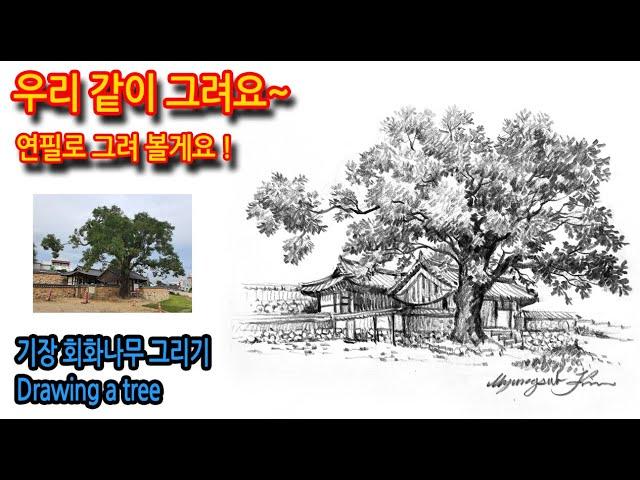 기장 장관청 회화나무 그리기Drawing a tree#그림독학#여행드로잉