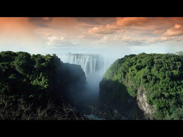 Zambezi: Wild Water | Wildest Africa | 4K |