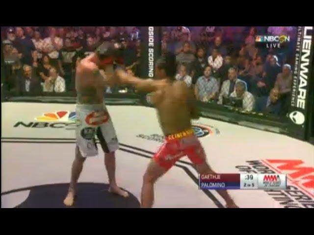 Wow !  Gaethje vs  Palomino 2 Fight Post Fight Results World Series of Fighting 23 wsof 23