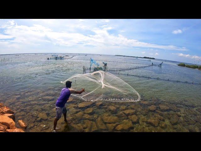 Amazing Cast Net Fishing In Crystal Clear Saltwater I Cast Net Throwing