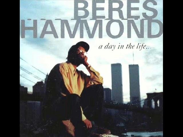 Beres Hammond   It's Not Official  1998