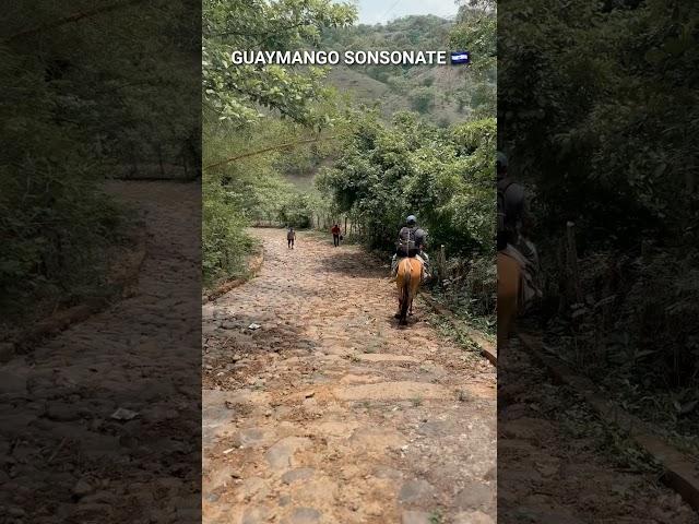 GUAYMANGO  SONSONATE #shortvideo #elsalvador #usa #travel #elcampo #amazing #behappy