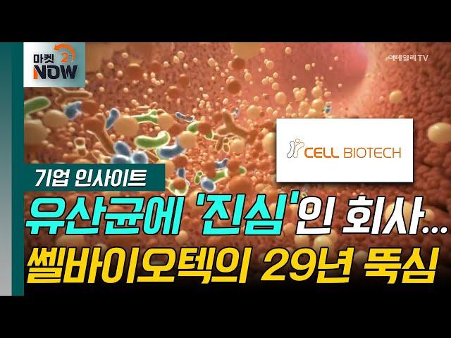 유산균에 '진심'인 회사... 쎌바이오텍의 29년 뚝심 [기업 인사이트] | Market Now (20240807)