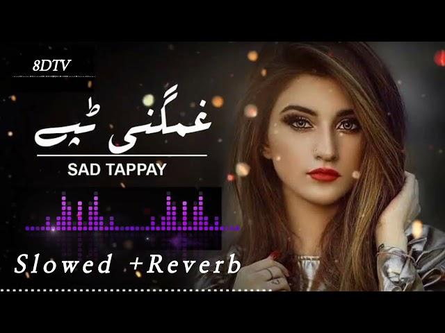 Pashto New Tapizy || Slowed +Reverb New 2023 Singer Wadood Karachi