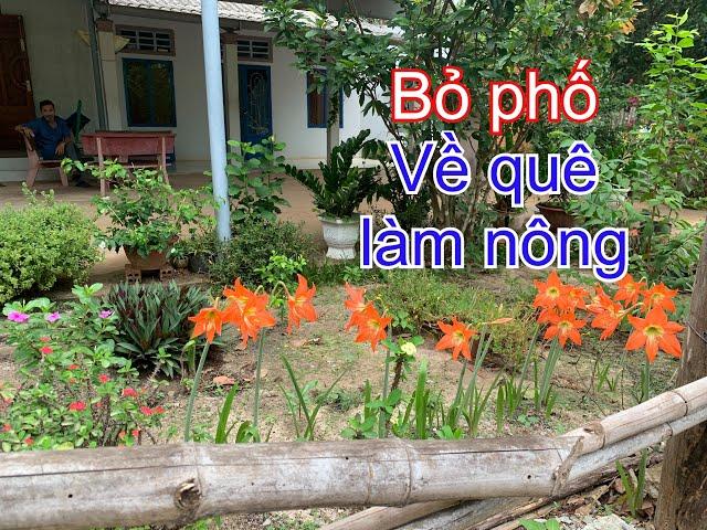 Bỏ phố về quê làm nông (chăn nuôi, trồng trọt), có dễ ăn? | THÍCH TRỒNG CÂY TV