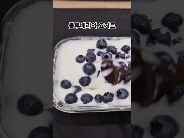 블루베리와 요거트