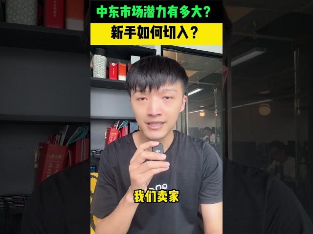 中东电商市场潜力到底有多大？新手如何切入？