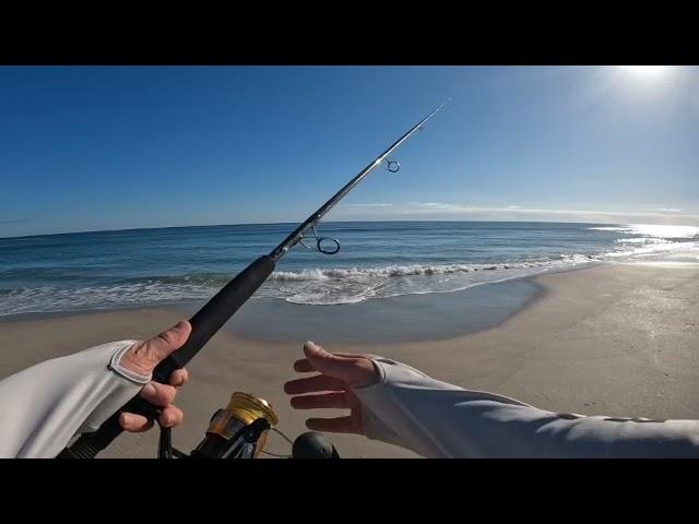 Surf Fishing Rod Specs - Ideal Rod Specs for Spiked and Artificial Beach Fishing