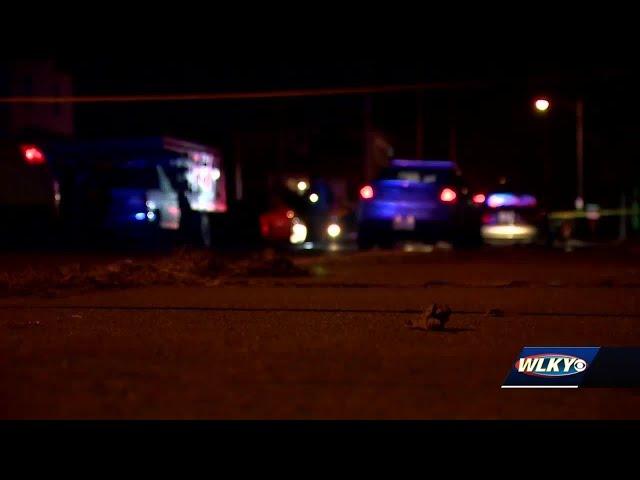 West Louisville activists introduce plan to curb deadly violence