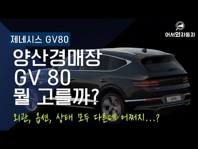 제네시스 gv80 2대 비교 feat 양산경매장에서 경매탐구생활 최진호평가사와함께