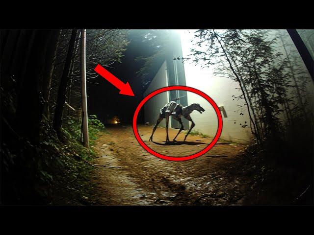 20 Creepy Cryptid Sightings Caught on Film