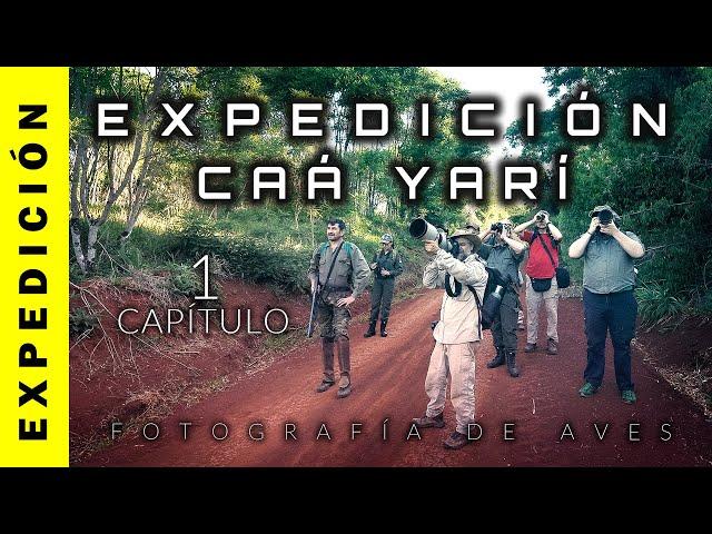 Expedición Caá Yarí - CAPÍTULO 1 || Buscando el Bailarín Castaño en la selva de Misiones