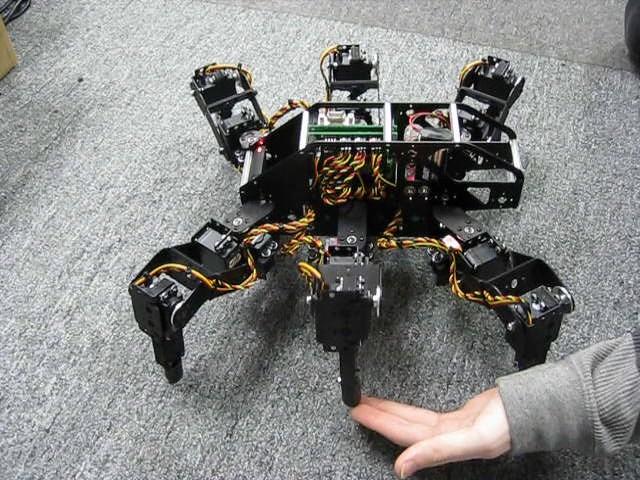 Lynxmotion T-Hex Hexapod Robot Terrain Adaptive Prototype  by RobotShop.com