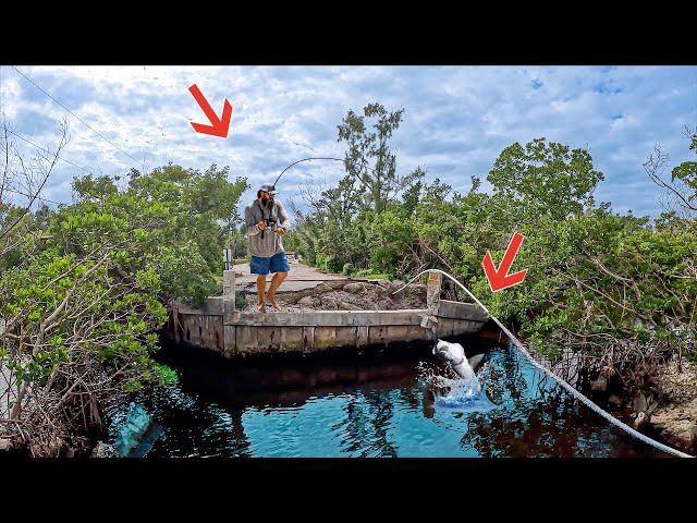 Fishing A Destroyed Island And Caught Dinner!