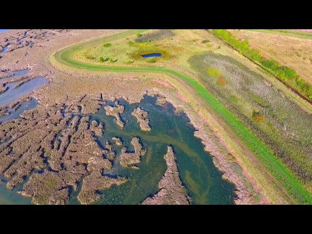 dji Phantom 4 Drone footage of Maldon, Essex