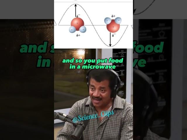 The Surprising Origins of the Microwave Oven - Neil Degrasse Tyson on Joe Rogan Experience #1159