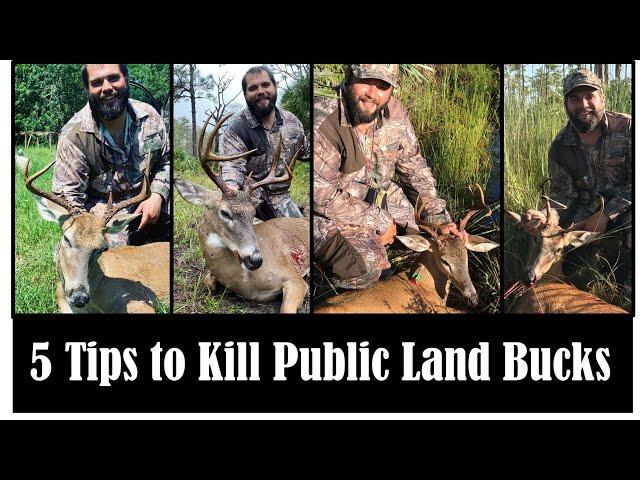 HOW TO HUNT DEER ON FLORIDA PUBLIC LAND and WMAs!!! (Swamp N Stomp ep. #37)