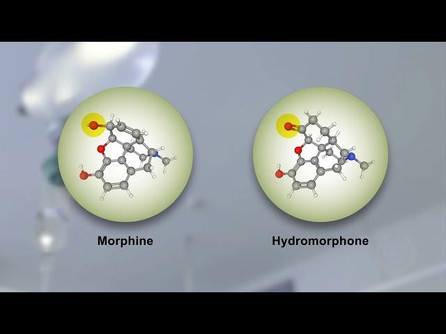 Morphine and Hydromorphone Effects, Side Effects and Variability...