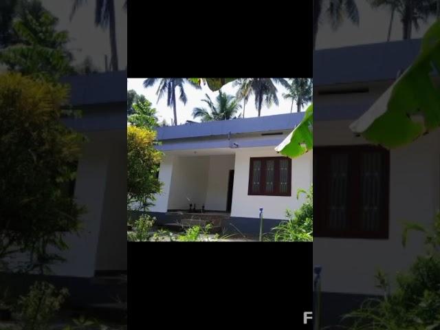 kannur 3 bedroom house for rent