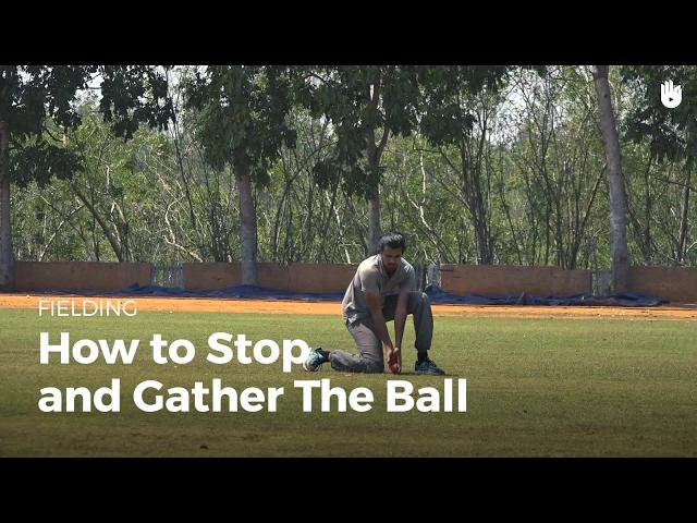 How to Stop the Ball | Cricket