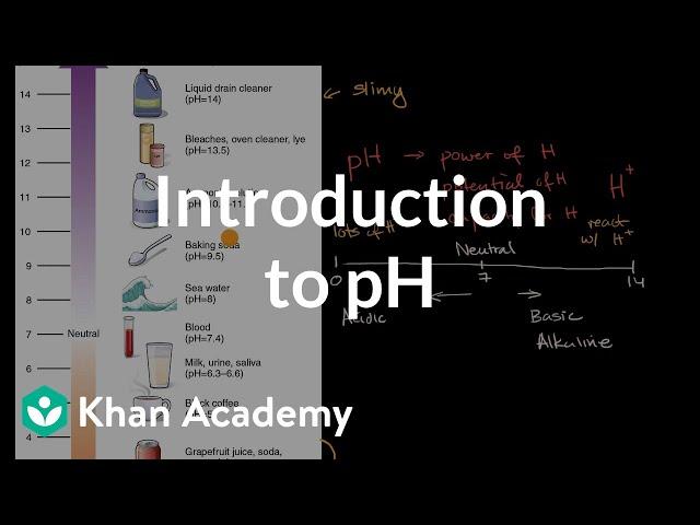 Introduction to pH | Biology foundations | High school biology | Khan Academy