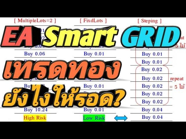 EA Forex Smart Hedging Grid V1.0 เปิด Sell & Buy เพิ่ม Repeat steping มาช่วยจัดการลดทอนในการเบิ้ลไม้