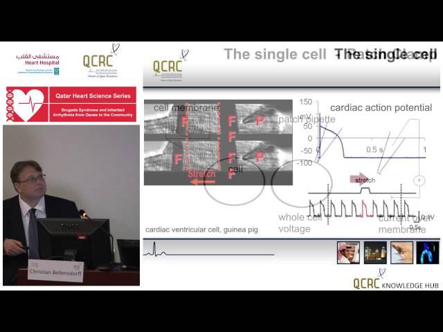 Christian Bollensdorff - Cellular Electrophysiology at QCRC
