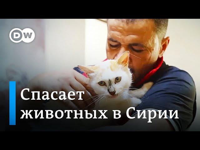 До слез: как спасают животных в Сирии и кто приходит на помощь