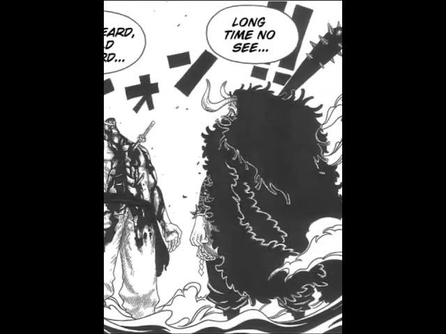 IF SHANKS DIDN"T STOP KAIDO.