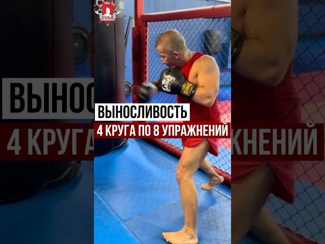 ВЫНОСЛИВОСТЬ / 4 КРУГА по 8 УПРАЖНЕНИЙ / КРУГОВАЯ ТРЕНИРОВКА / ШАДРИКОВ ИЛЬЯ, 05.10.2024 г.
