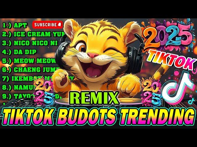 TRENDING TIKTOK REMIX DANCE PARTY 2025 - BEST OF TIKTOK BUDOTS DANCE REMIX 2024 - DISCO REMIX 2024