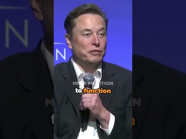 "A Zombie Apocalypse Is Coming Sooner Than You Think" - Elon Musk