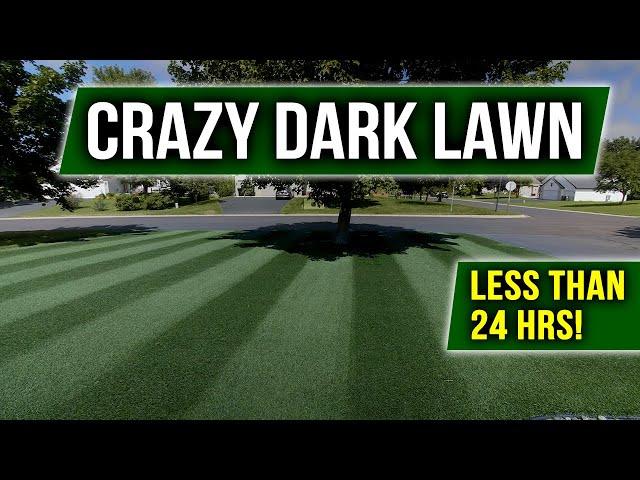 HOW TO GET THE DARKEST GRASS PERIOD!