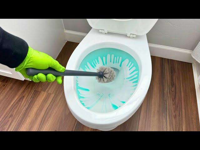 10 Things You Need To Know About Cleaning Your Toilet