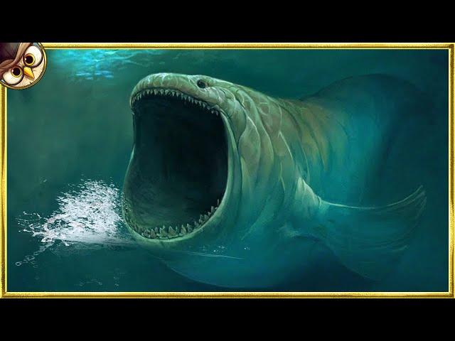 Mysterious Underwater Creatures Caught on Tape