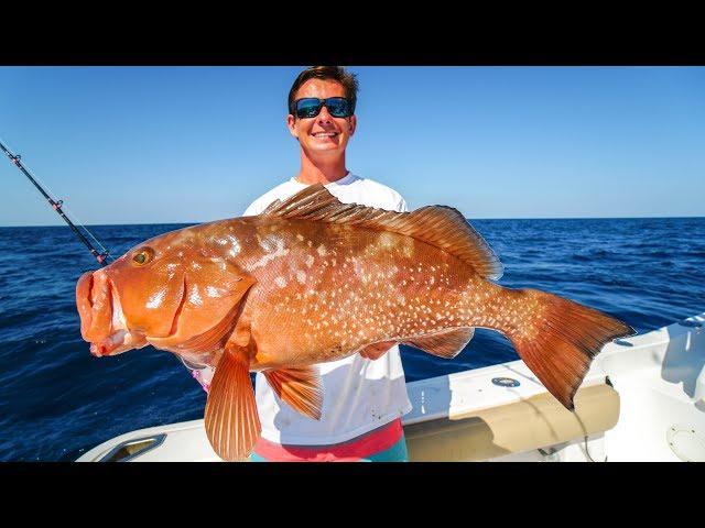 DEEP Sea Grouper!  Catch Clean Cook! (Deep Sea Gulf Bottom Fishing)