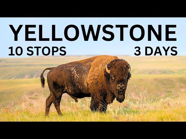 3-Day Road Trip Through Yellowstone: Old Faithful, Grand Canyon, Yellowstone Lake