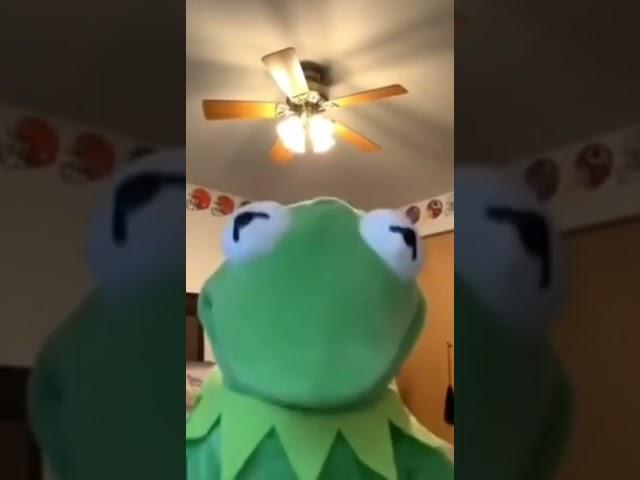 Kermit the Frog Jumps