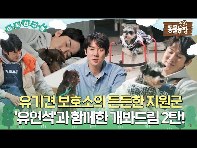 [#습속친구들] 유기견 보호소의 든든한 지원군 ‘유연석’과 함께한 개봐드림 2탄 몰아보기! #TV동물농장 #AnimalFarm #SBSstory