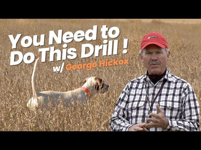 Training a Bird Dog - Restrained Chase Drill for Pointing Dogs by George Hickox