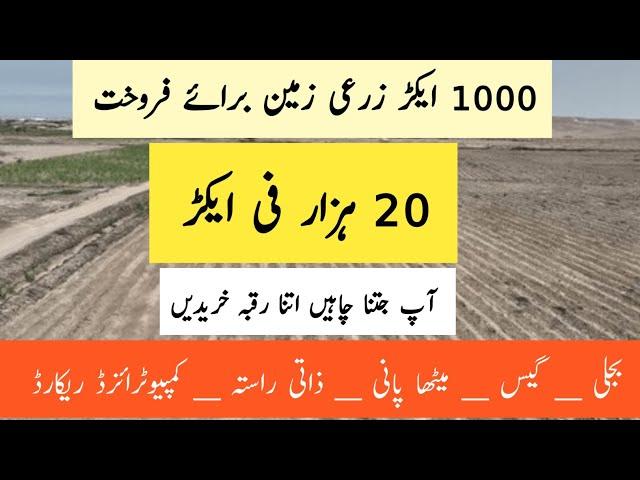 Agriculture land for sale in Pakistan | land for sale in Pakistan | zameen for sale in Pakistan