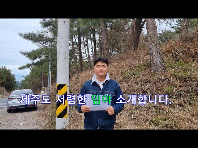 제주도임야/애월읍 소길리 2차선 접 저렴한 가격 임야 매매
